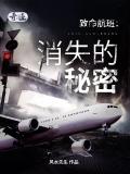 《致命航班：消失的秘密》小说大结局在线阅读 致命航班：消失的秘密小说阅读